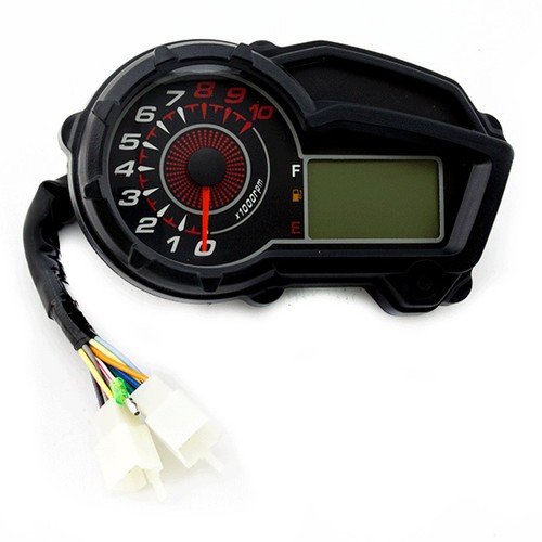 Gruppo speedo per - speedo,